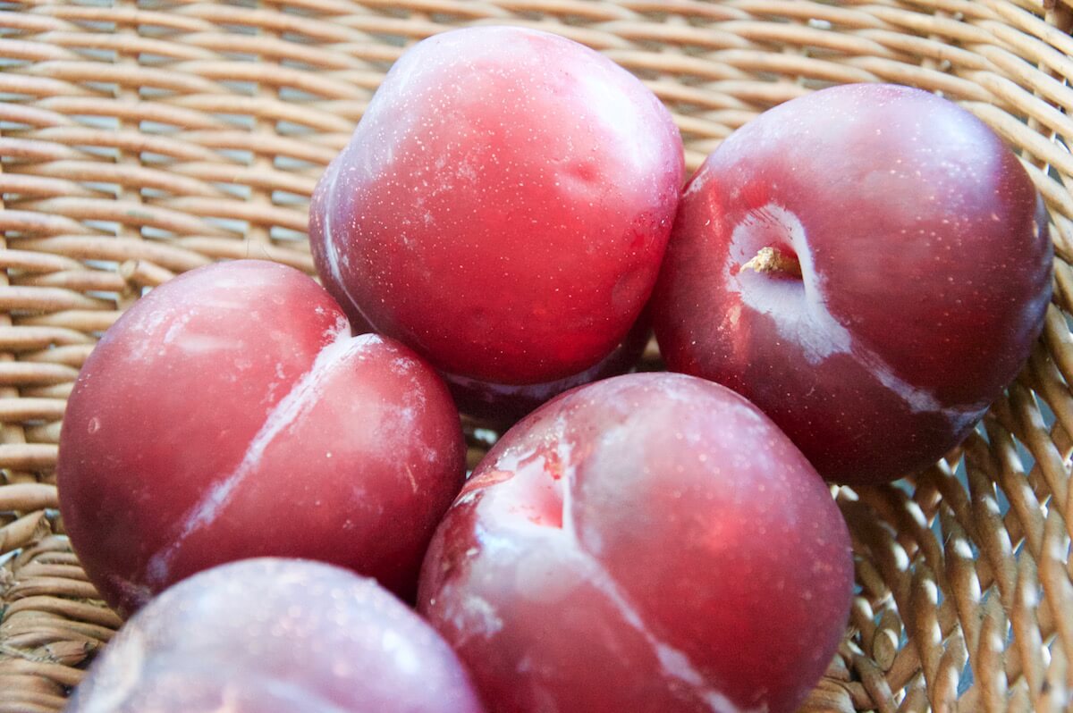 Plums for baby