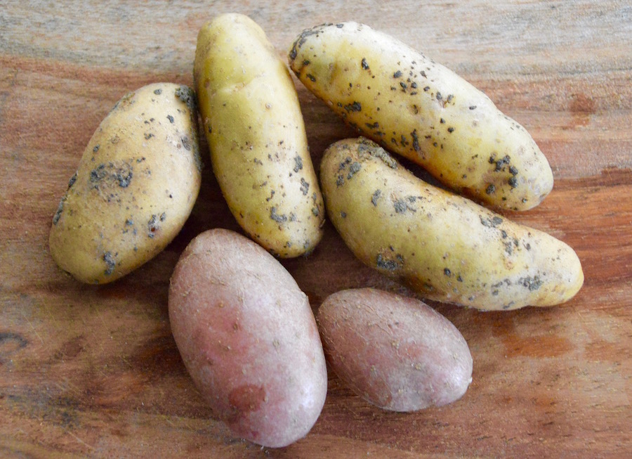 Carrot, potato and turnip baby puree recipe (from 6 months) Cooking