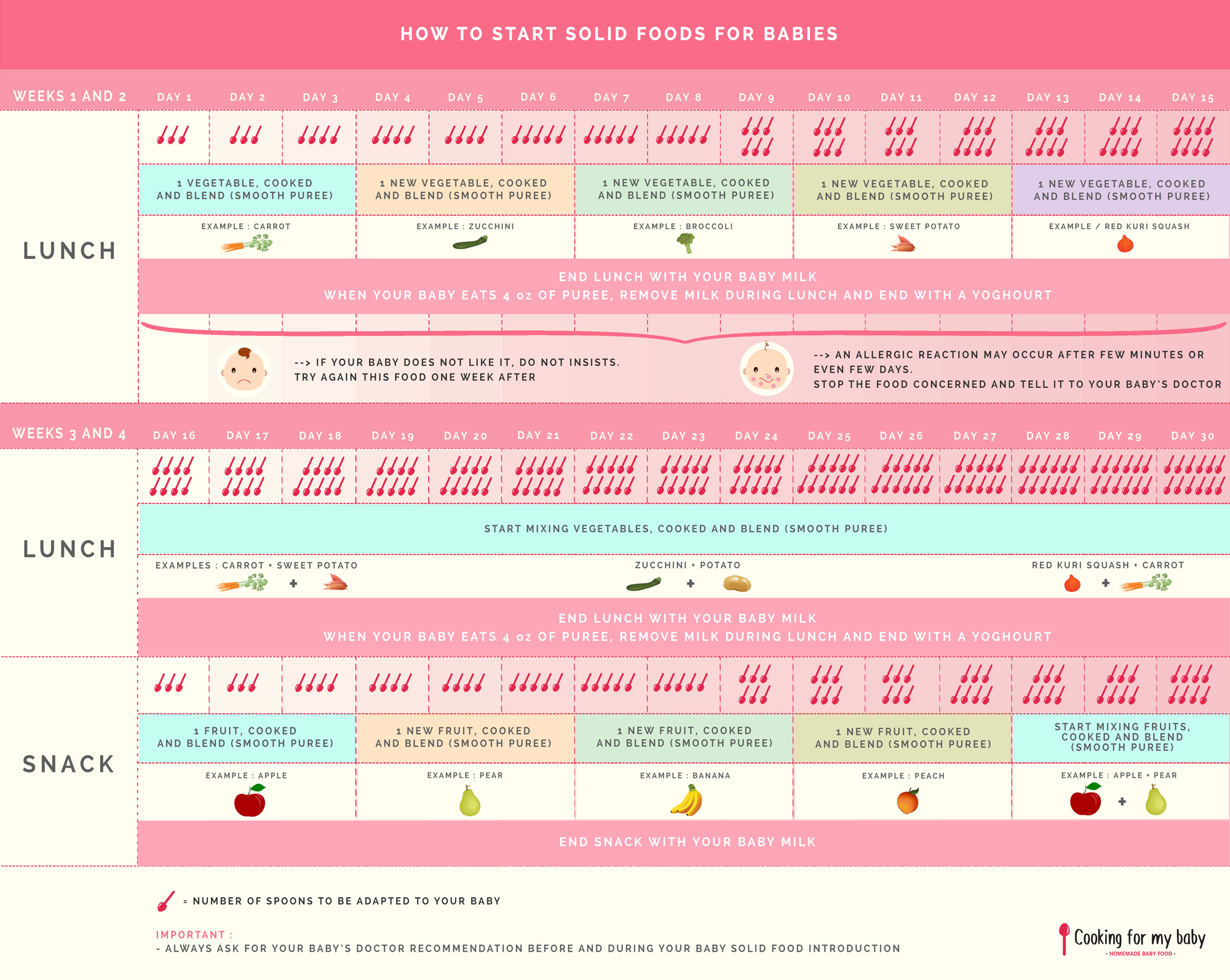 How to start solid foods for babies (30-day schedule)