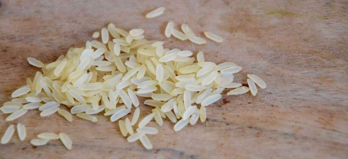 Ratatouille with rice baby food recipe (from 8 months) Cooking for my