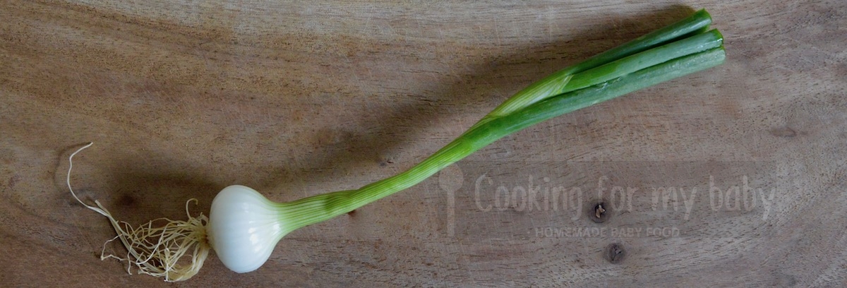 New onion for baby