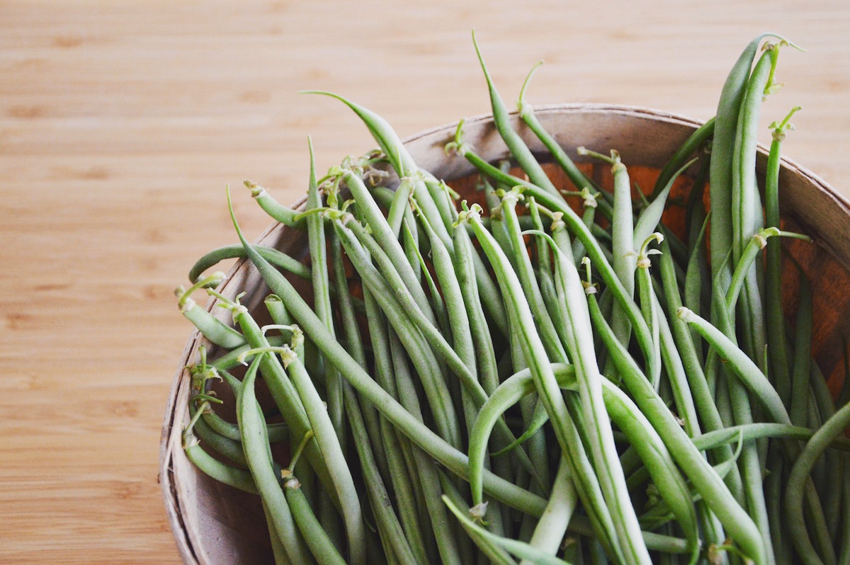 Haricots verts (4 mois)