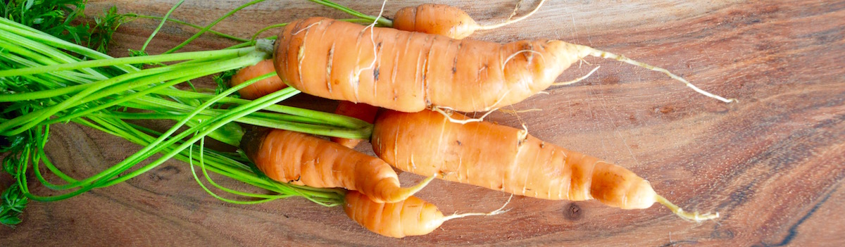 Carottes pour bébé 