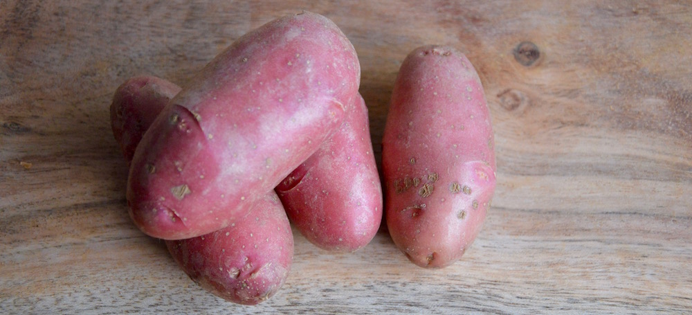 Pommes de terre pour bébé