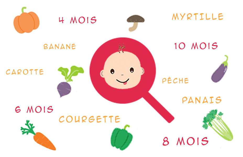 Aliments pour bébé de 7 mois