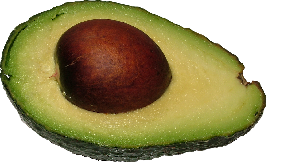 Avocat (12 mois)