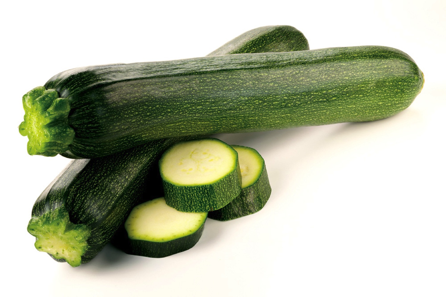 Courgette (4 mois)