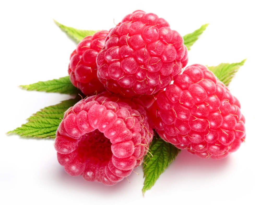 Framboise (6 mois)