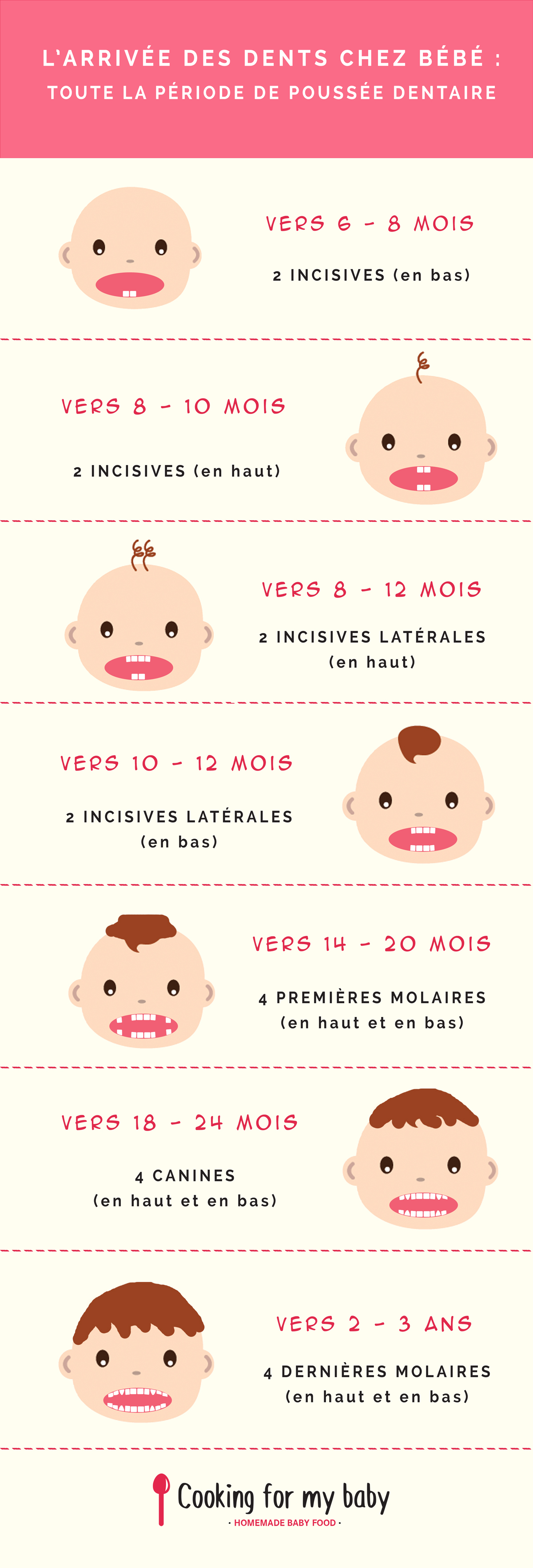 Poussée dentaire de bébé : toute la période d'arrivée des dents de bébé