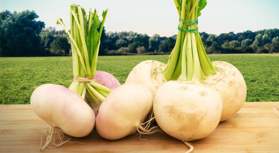 Rutabaga Pour Bebe Des 7 Mois Cooking For My Baby Rutabaga Pour Bebe Des 7 Mois Cooking For My Baby