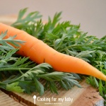 Recette avec de la carotte pour bébé