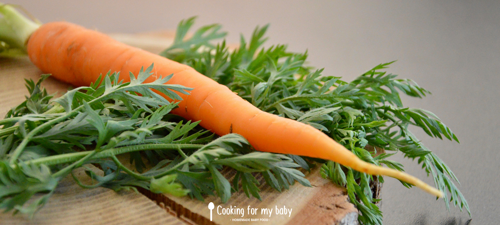 Recette avec de la carotte pour bébé