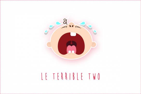 Terrible Two : Comment gérer les crises d'un enfant de 2 ans ?