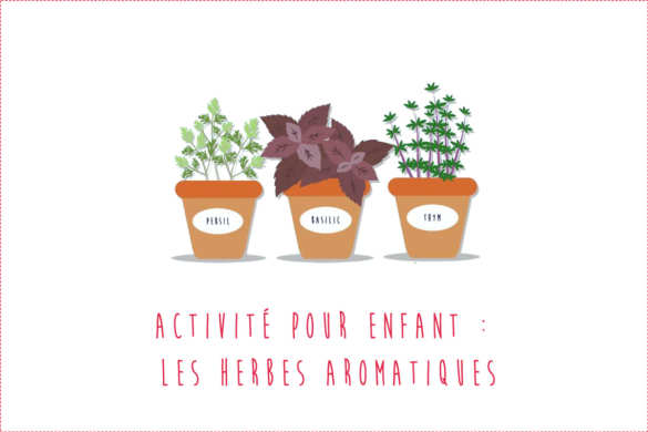 activite enfant bebe herbes aromatiques