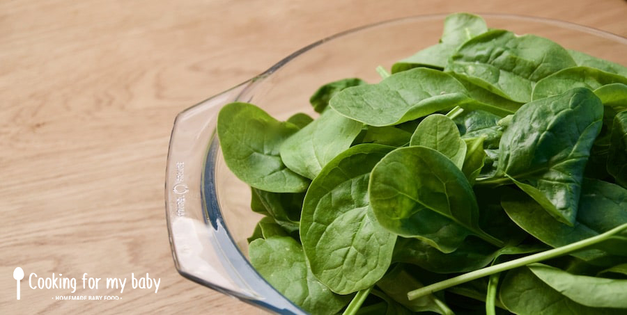 Fresh spinach for baby