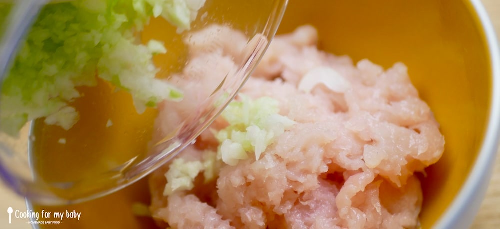 Mixing Chicken, Celery, Onion & Apple for Baby Meatballs