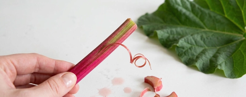 Preparing rhubarb for baby
